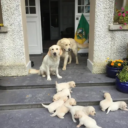 民宿 Glanleam House *