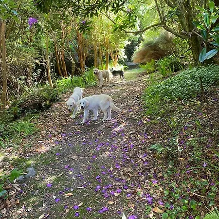 Glanleam House 民宿 *