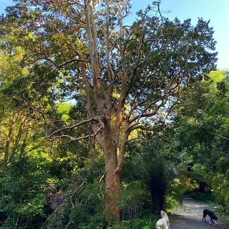 Glanleam House Knights Town