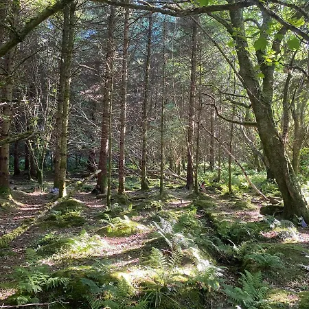 Glanleam House 民宿 Knights Town