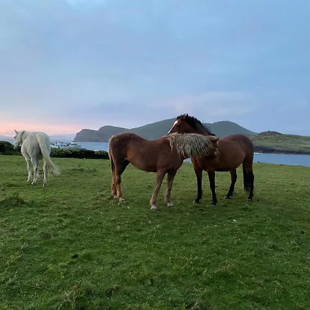 Glanleam House 民宿 Knights Town