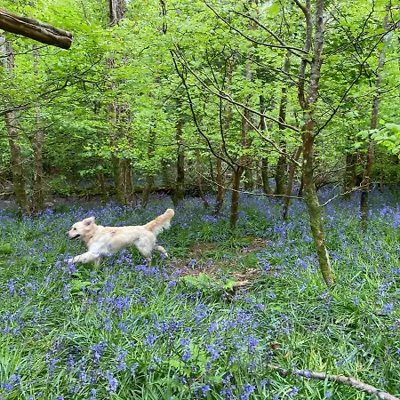 Glanleam House Knights Town