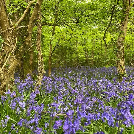 Glanleam House Accommodatie bij particulieren *