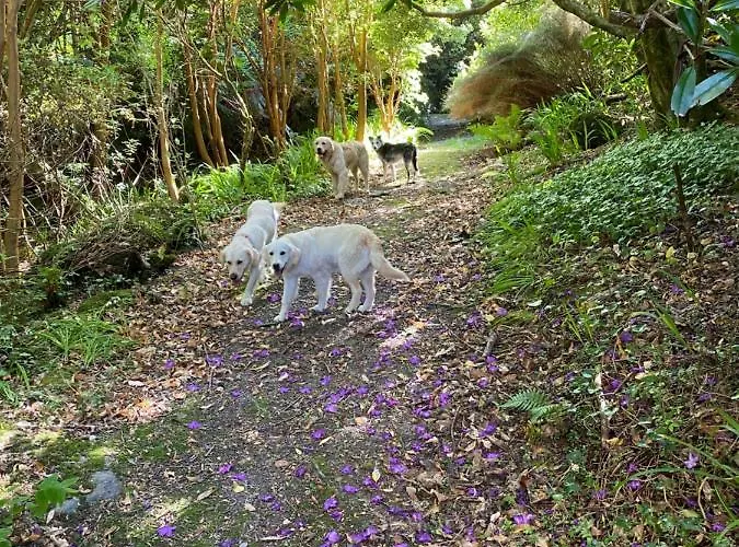 Glanleam House منزل للإقامة *