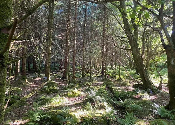 Glanleam House منزل للإقامة Knights Town