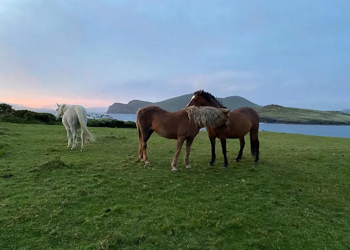 Glanleam House منزل للإقامة Knights Town