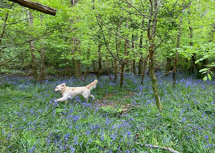 Glanleam House Knights Town