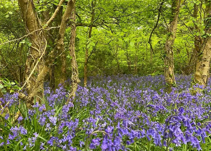 Glanleam House منزل للإقامة *