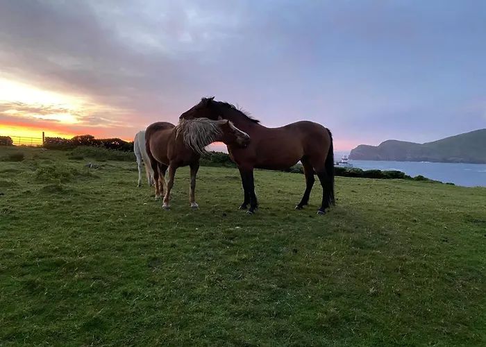 Glanleam House منزل للإقامة