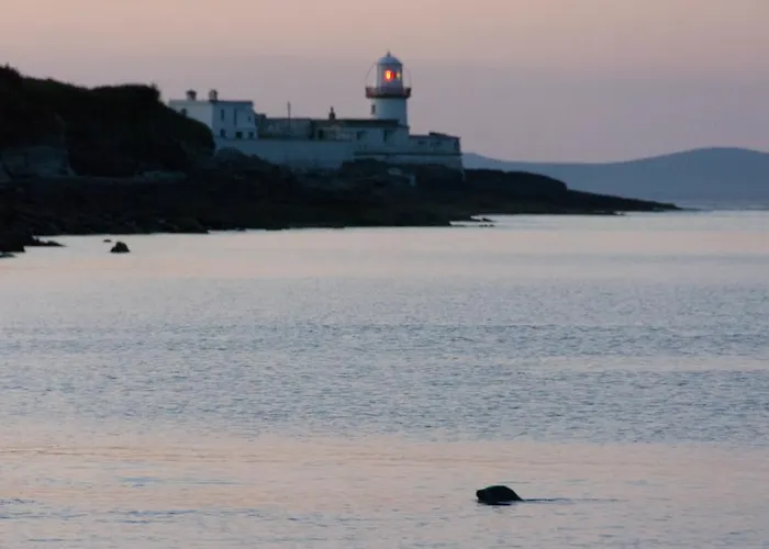 Glanleam House منزل للإقامة Knights Town